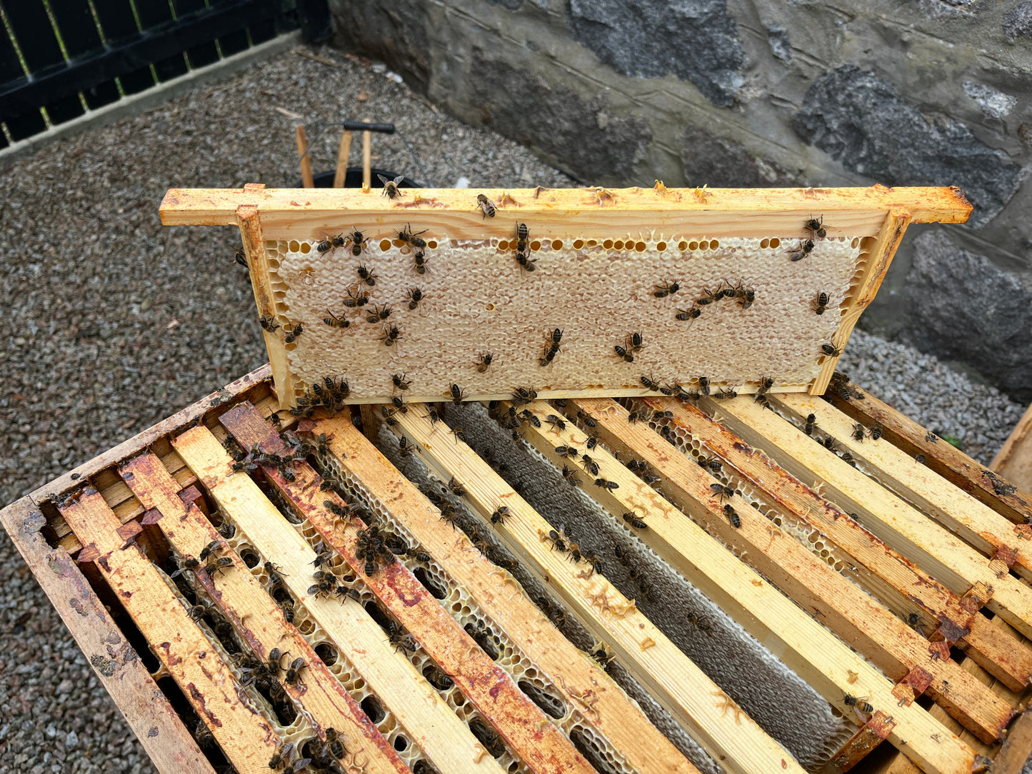 Non Branded Beehives - Hosted on our Charity/Farms
