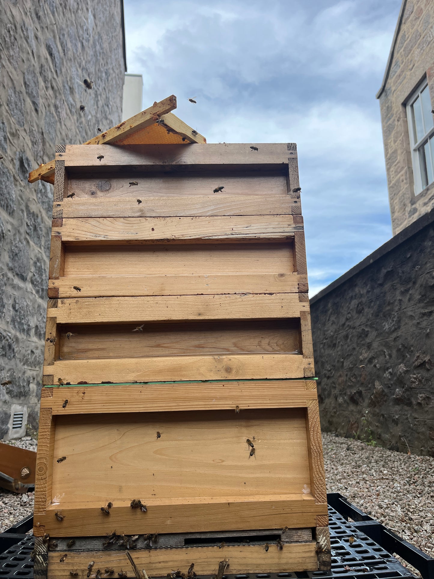 Non Branded Beehives - Hosted on our Charity/Farms