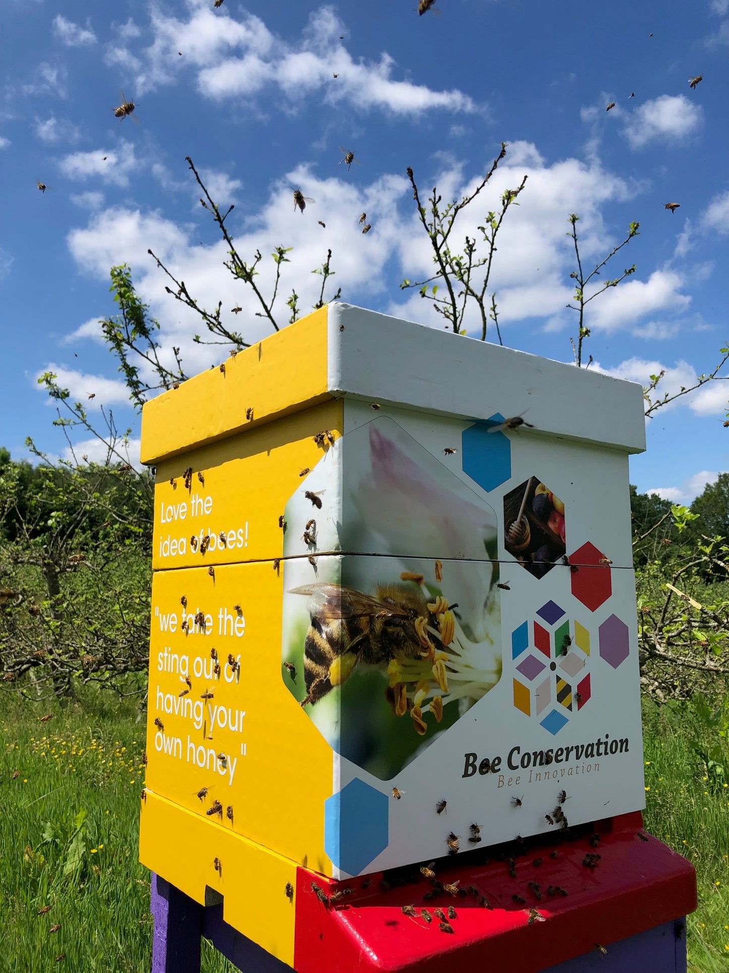 Branded Beehive & Bees – Delivered & Installed (Client Maintains Hive & Bees)