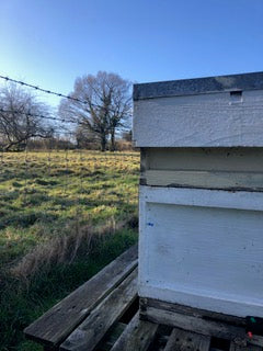 Non Branded Beehives - Hosted on our Charity/Farms