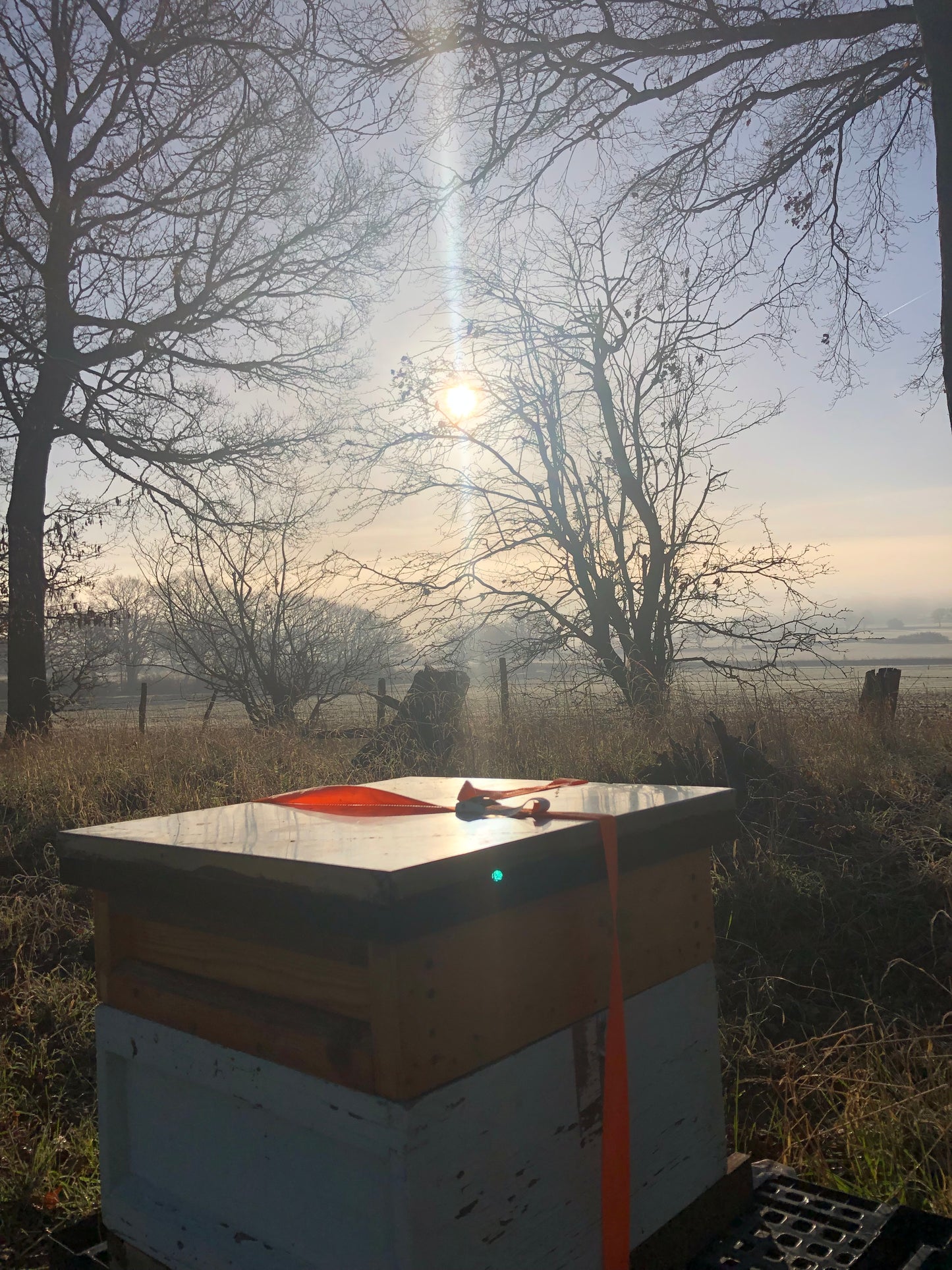Non Branded Beehives - Hosted on our Charity/Farms