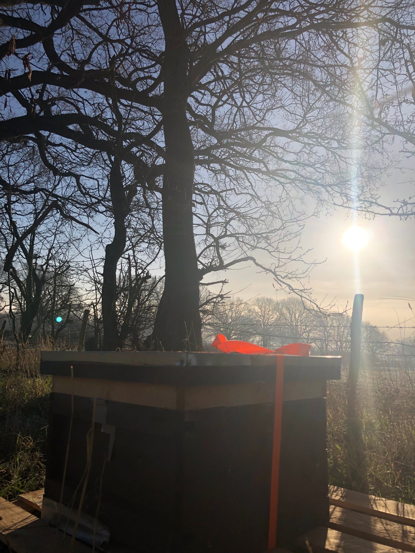 Non Branded Beehives - Hosted on our Charity/Farms