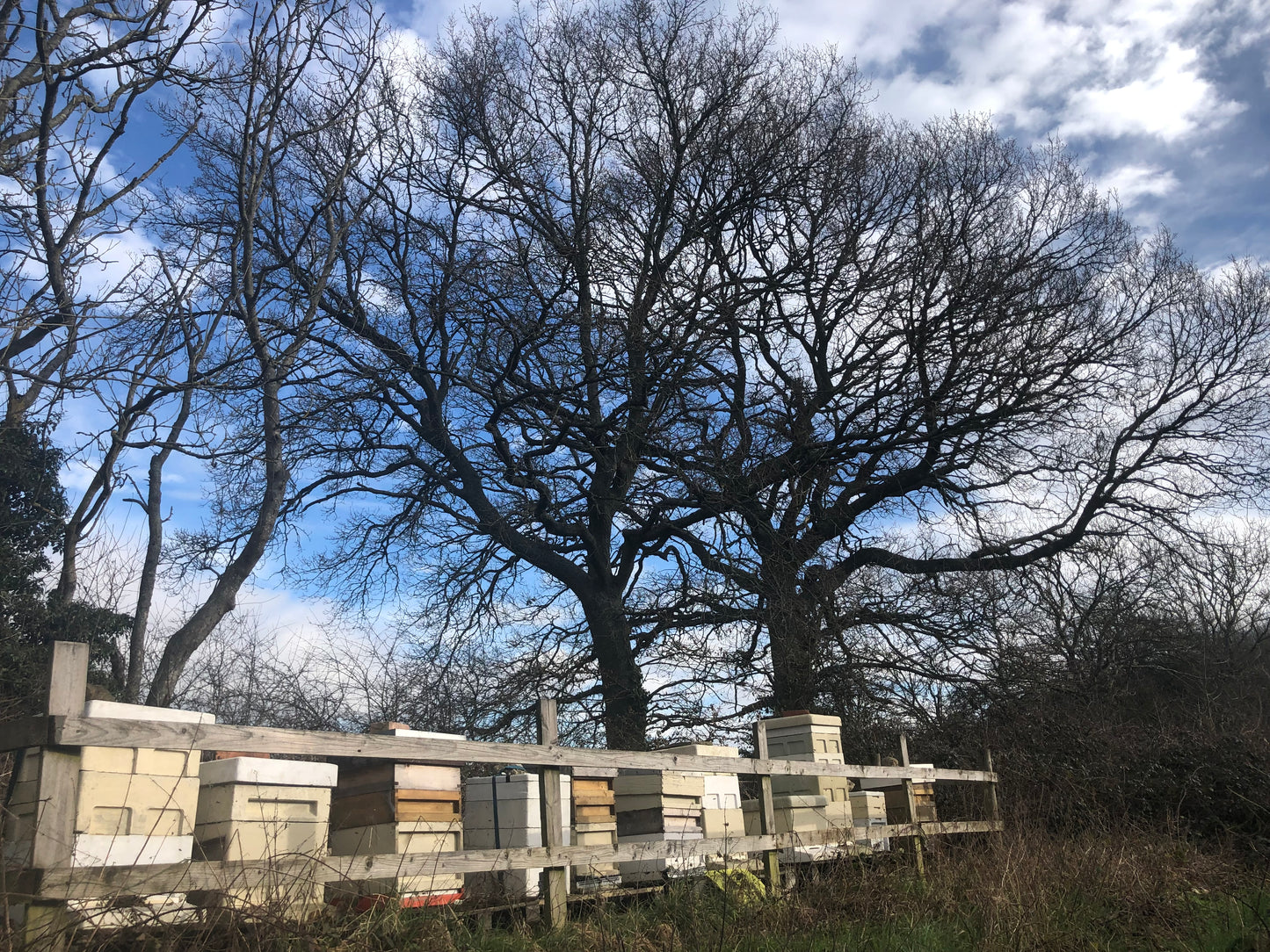 Non Branded Beehives - Hosted on our Charity/Farms