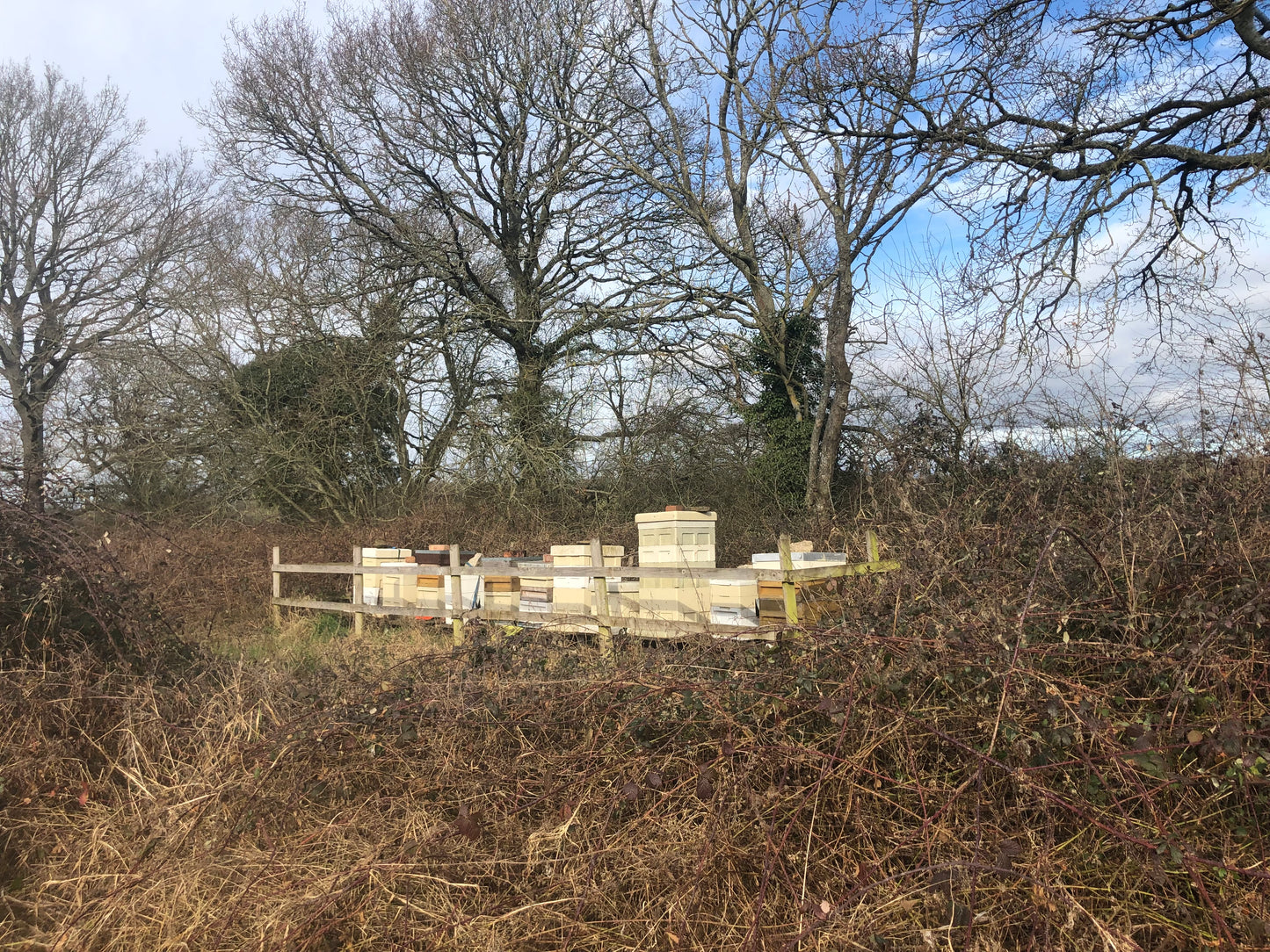 Non Branded Beehives - Hosted on our Charity/Farms