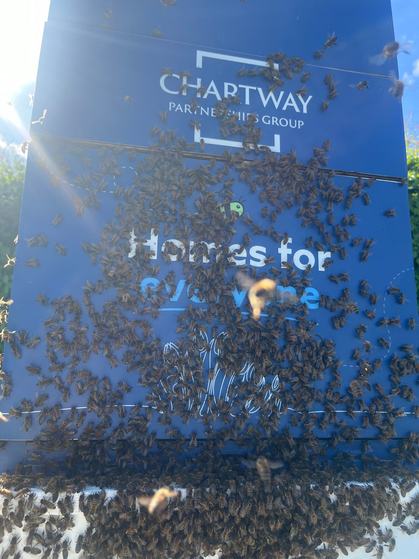Branded Beehive & Bees – Delivered & Installed (Client Maintains Hive & Bees)