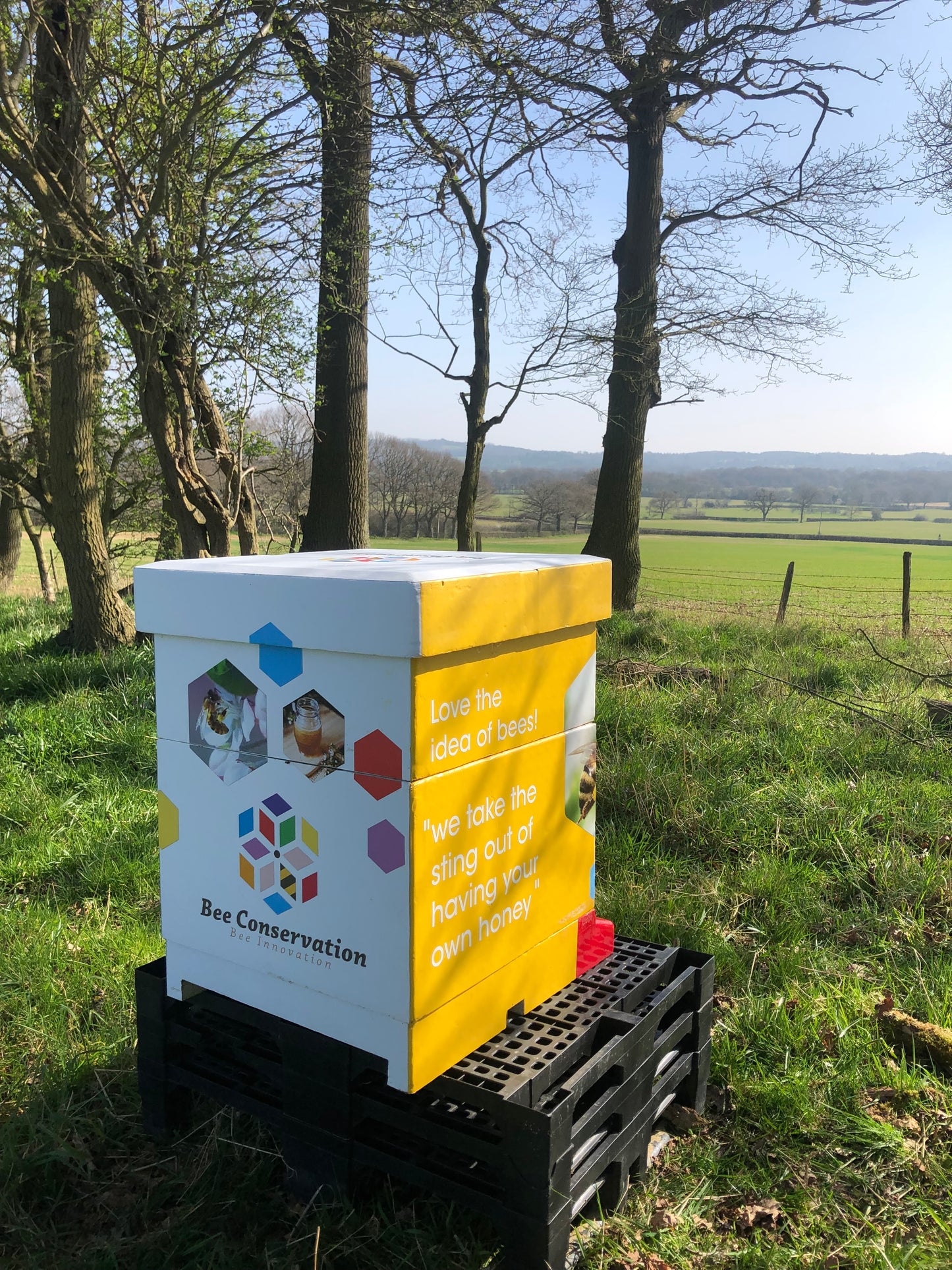 Branded Beehive – Site Visit, Consultation & Bespoke Proposal (Fully Managed Service) Schools & Charities