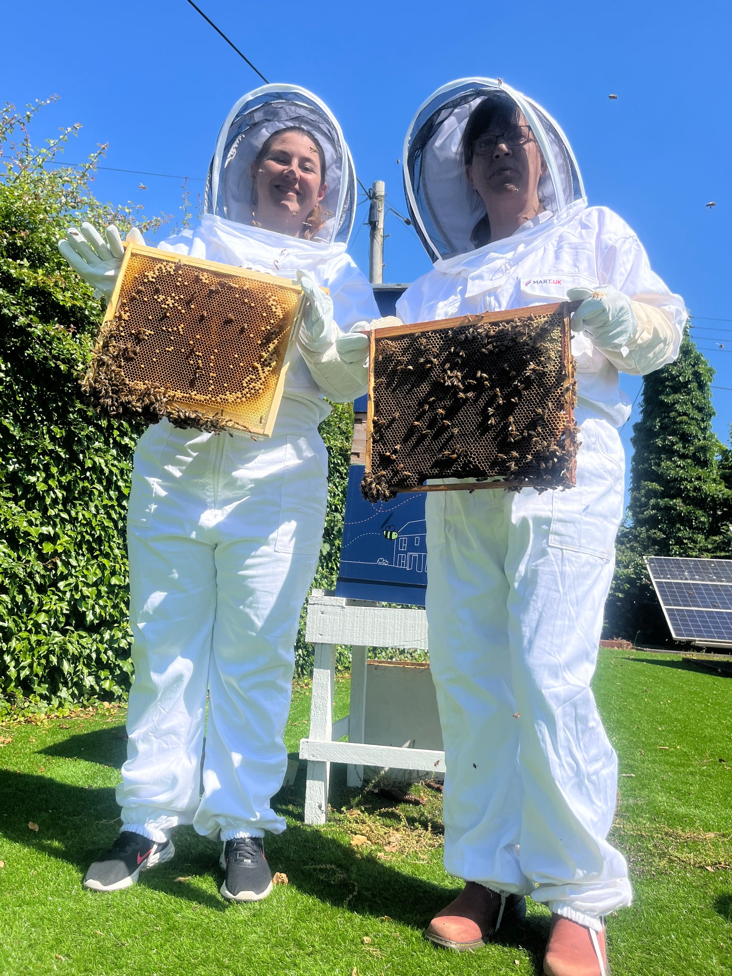 Branded Beehive – Site Visit, Consultation & Bespoke Proposal (Fully Managed Service) Schools & Charities