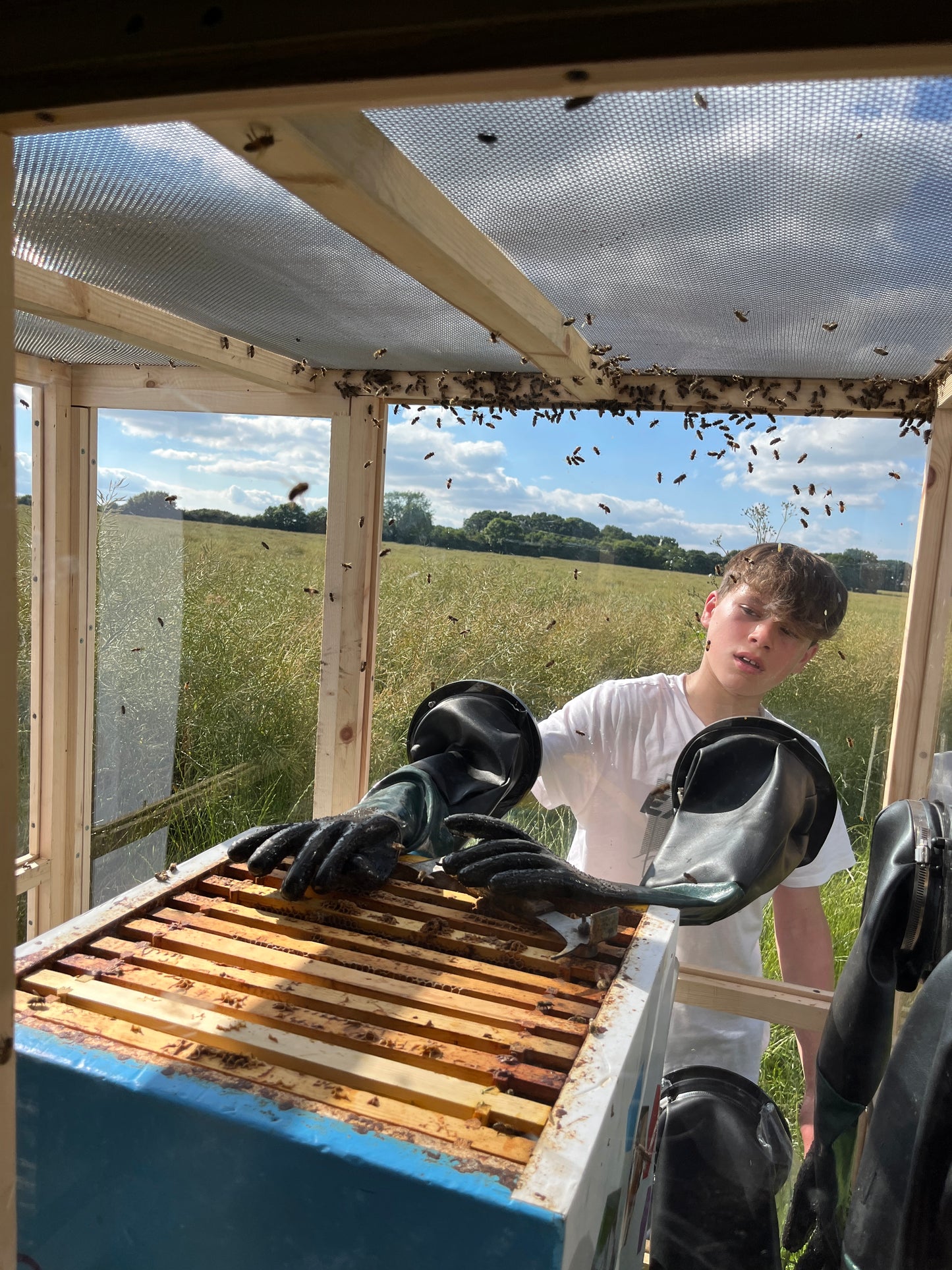 Mobile beehive full day - Schools & Charities