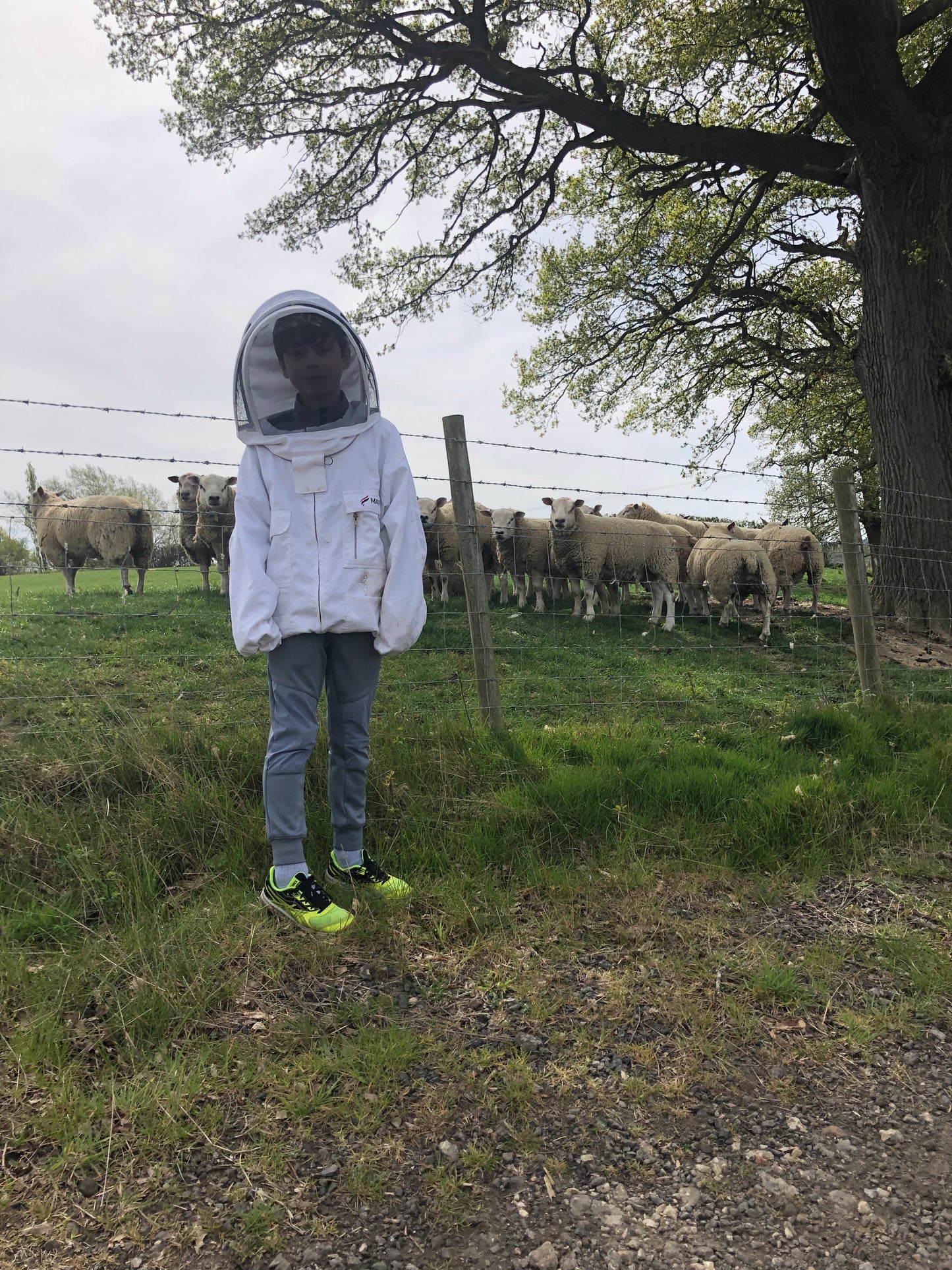 Branded Beehive – Site Visit, Consultation & Bespoke Proposal (Fully Managed Service) Schools & Charities