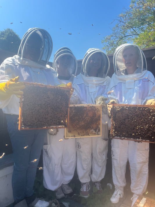 Branded Beehive - Site visit/Consultation/Proposal  - Schools & Charities