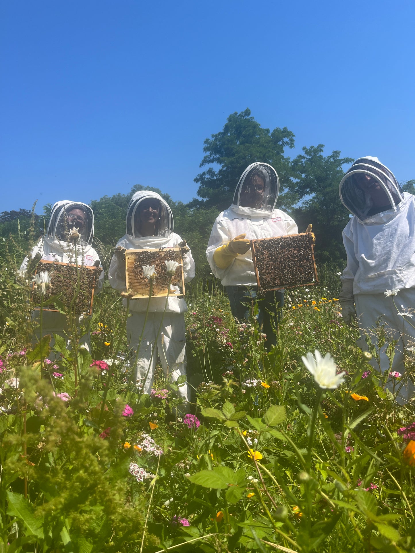 Branded Beehive – Site Visit, Consultation & Bespoke Proposal (Fully Managed Service) Schools & Charities