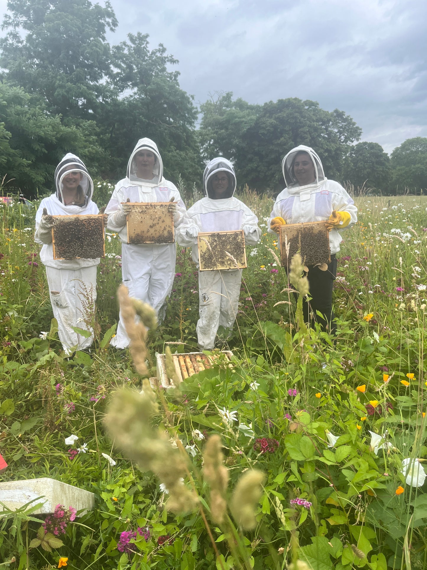 Branded Beehive – Site Visit, Consultation & Bespoke Proposal (Fully Managed Service) Schools & Charities