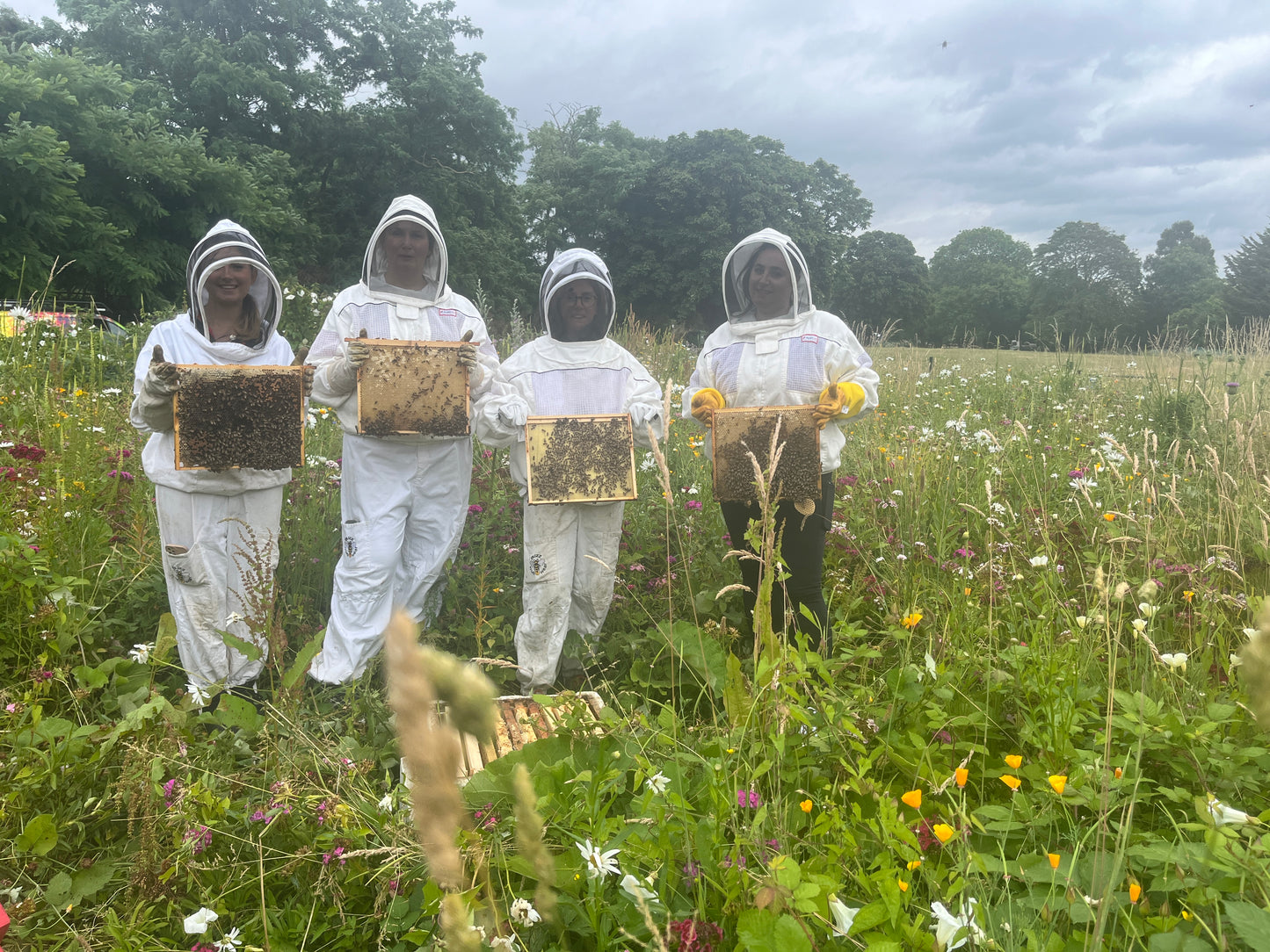 Branded Beehive – Site Visit, Consultation & Bespoke Proposal (Fully Managed Service) Schools & Charities