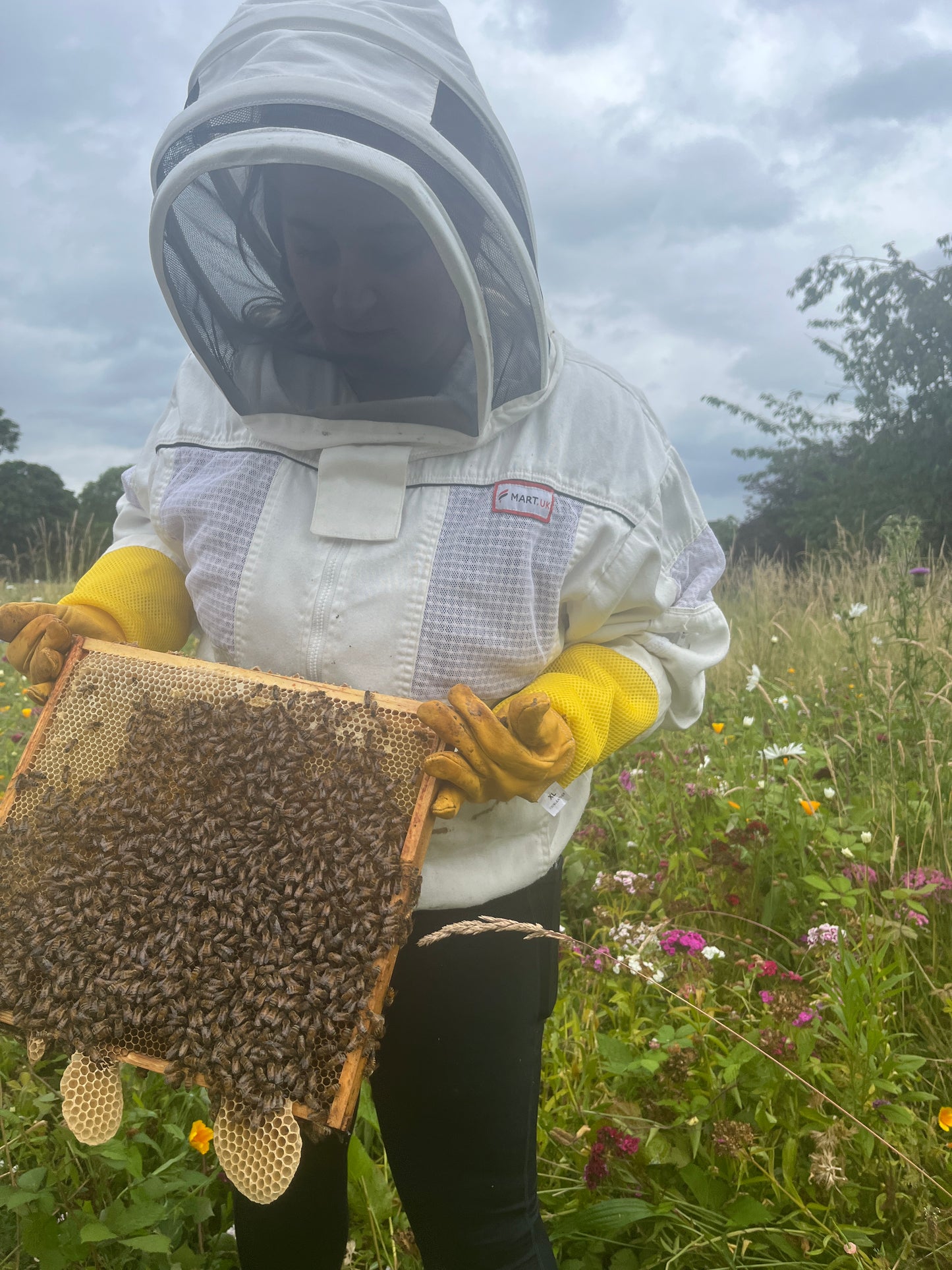 Branded Beehive – Site Visit, Consultation & Bespoke Proposal (Fully Managed Service) Schools & Charities
