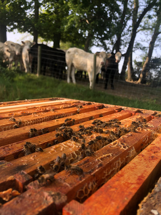Non Branded Beehives - Hosted on our Charity/Farms