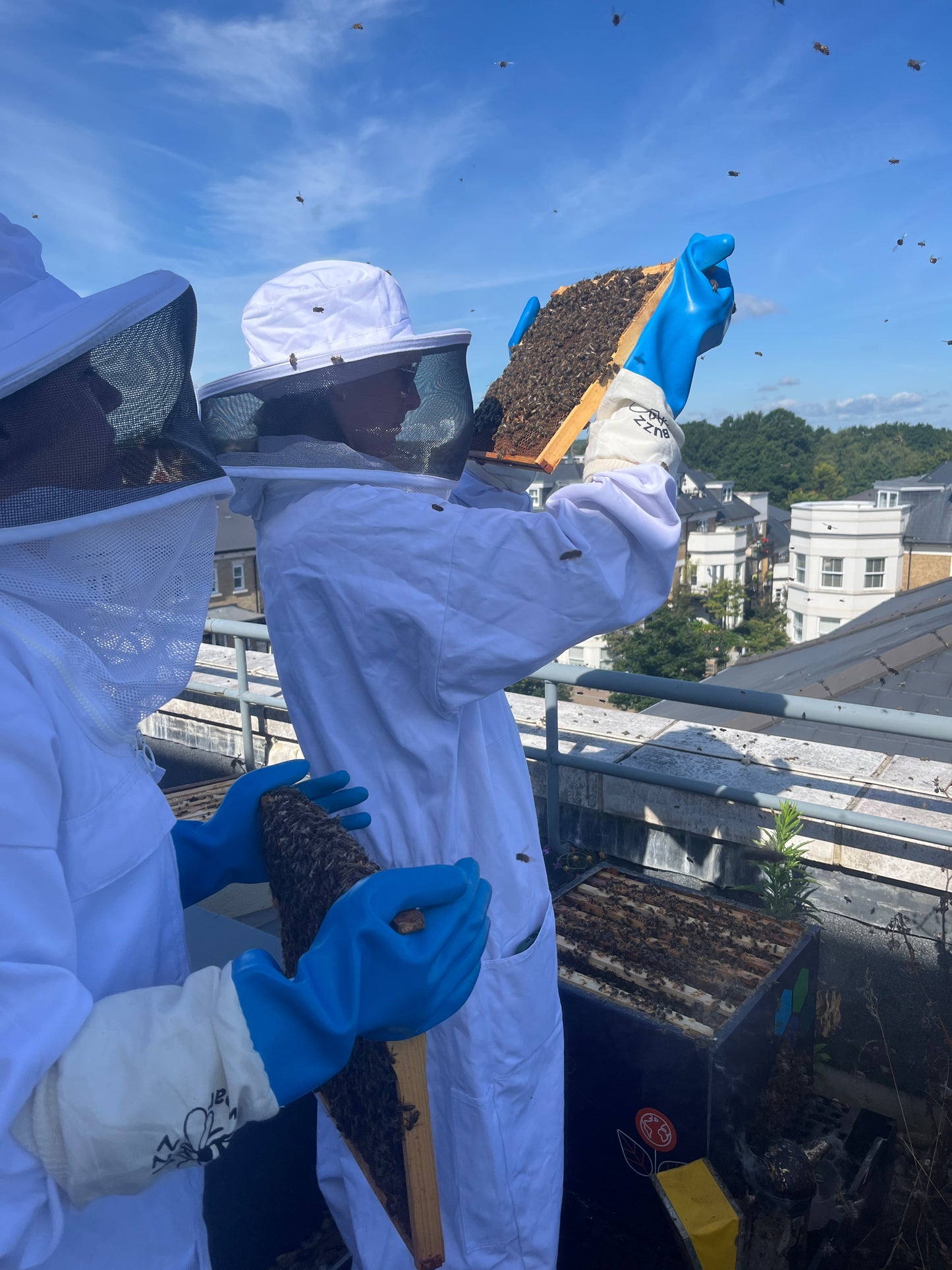 Branded Beehive – Site Visit, Consultation & Bespoke Proposal (Fully Managed Service) Schools & Charities