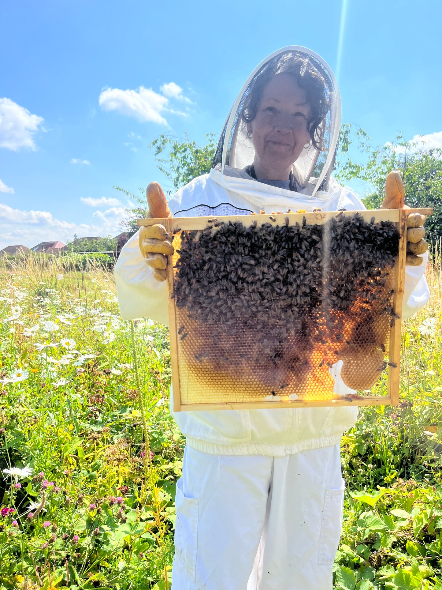 Branded Beehive – Site Visit, Consultation & Bespoke Proposal (Fully Managed Service) Schools & Charities