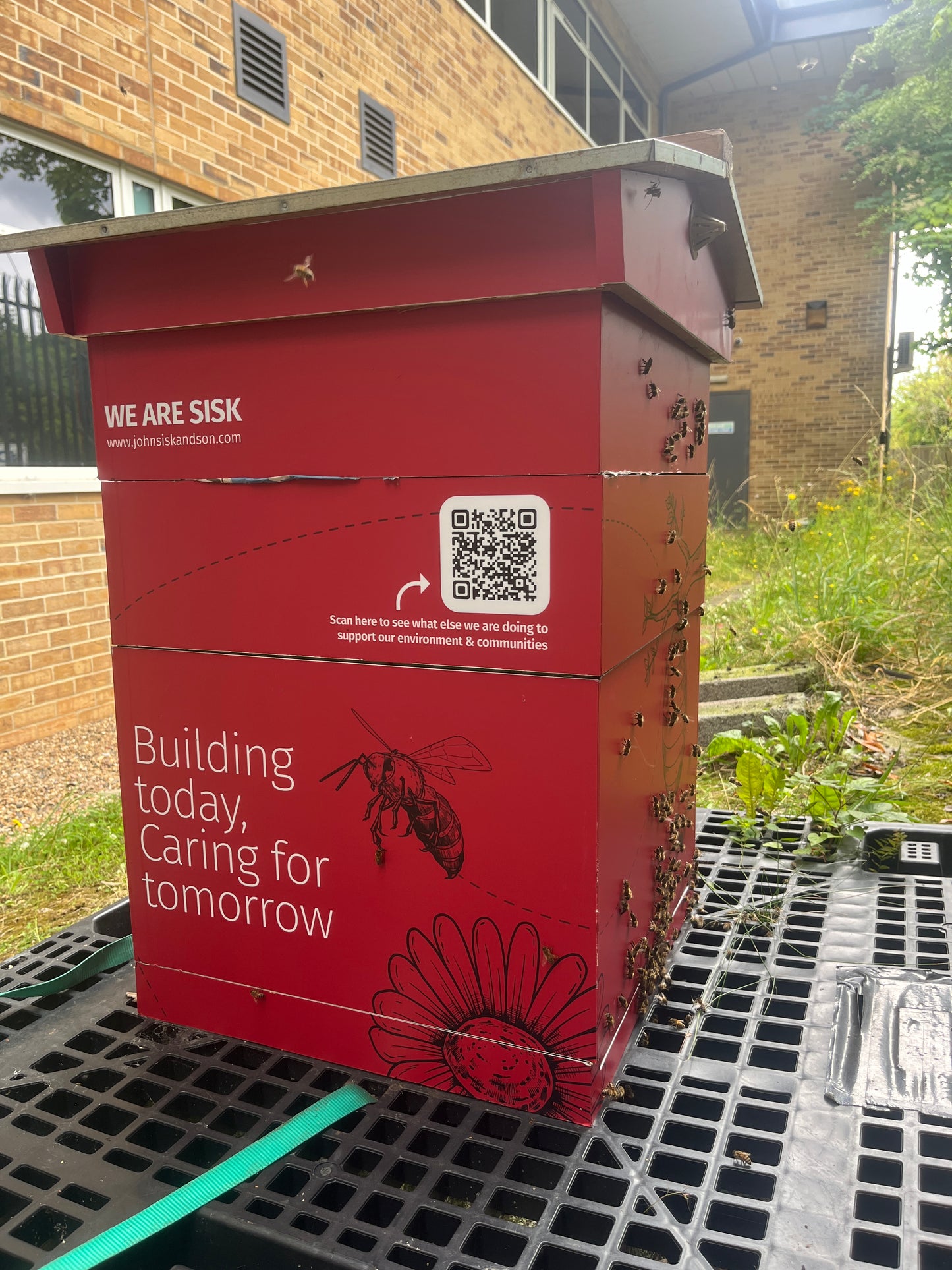 Branded Beehive – Site Visit, Consultation & Bespoke Proposal (Fully Managed Service) Schools & Charities
