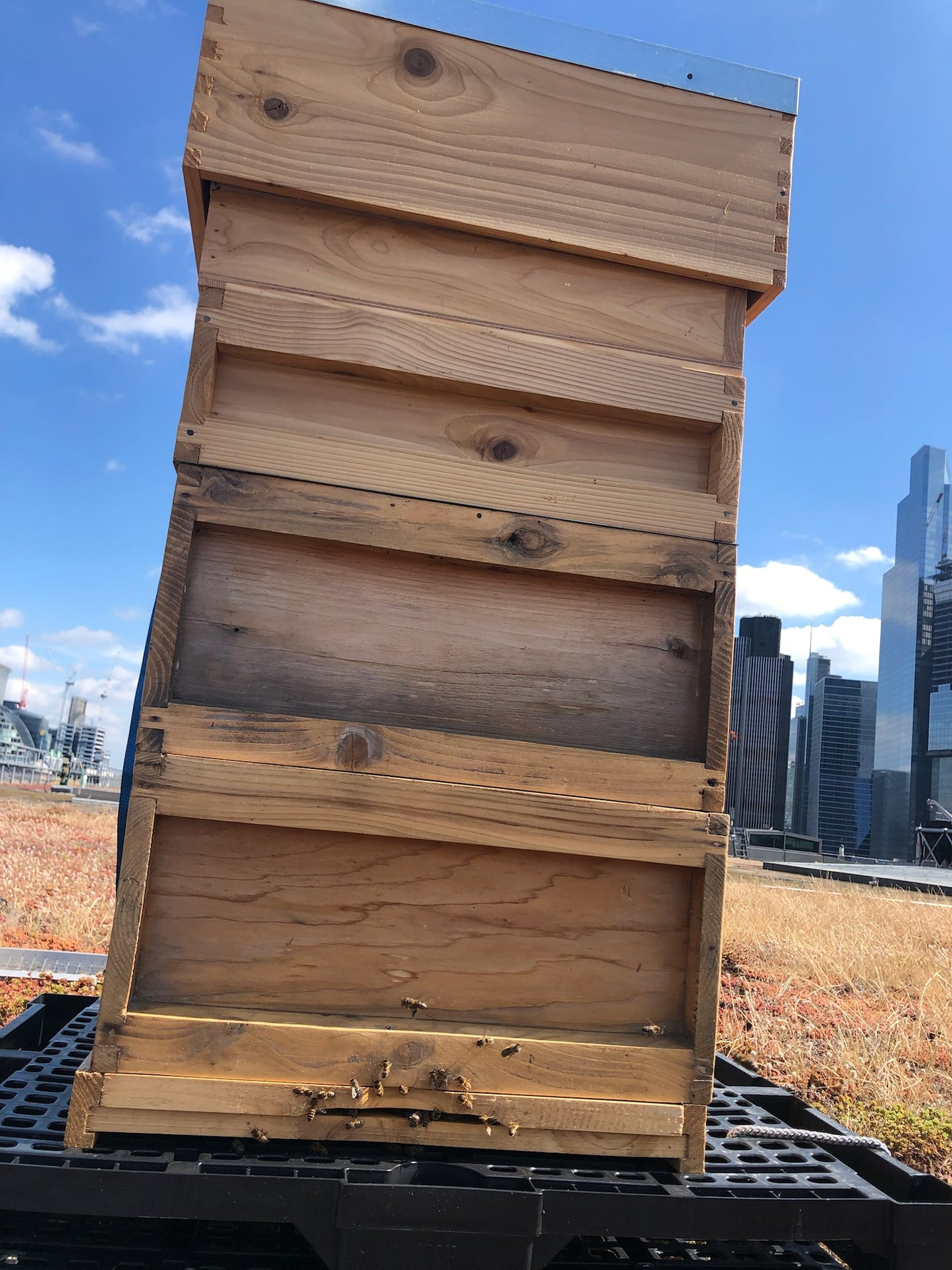 Non Branded Beehives - Hosted on our Charity/Farms