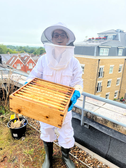 Non Branded Beehives - Hosted on our Charity/Farms