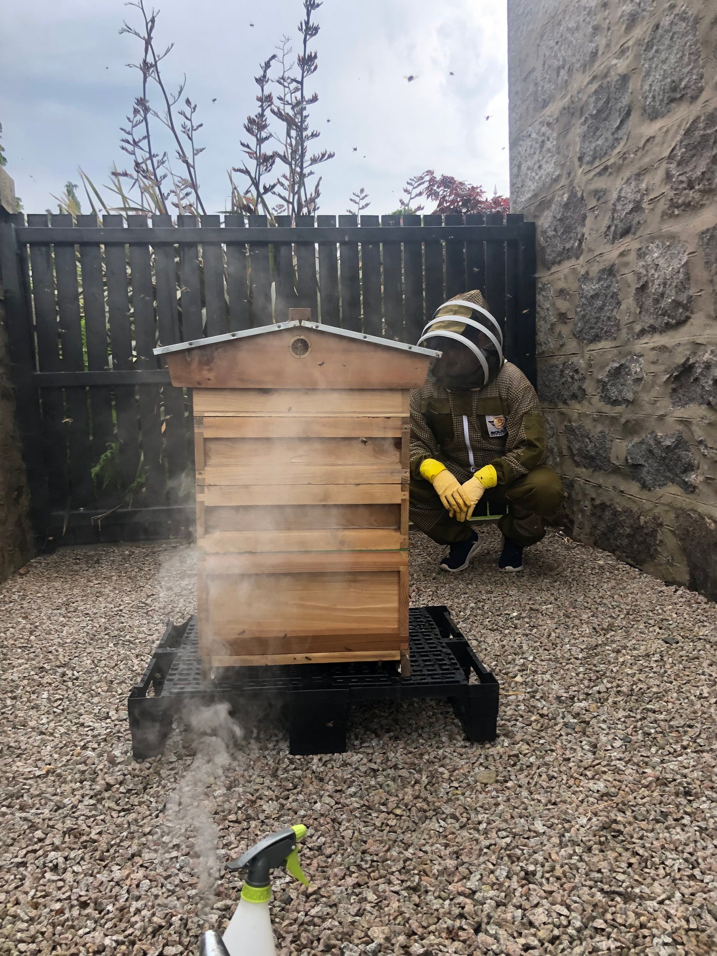 Non Branded Beehives - Hosted on our Charity/Farms
