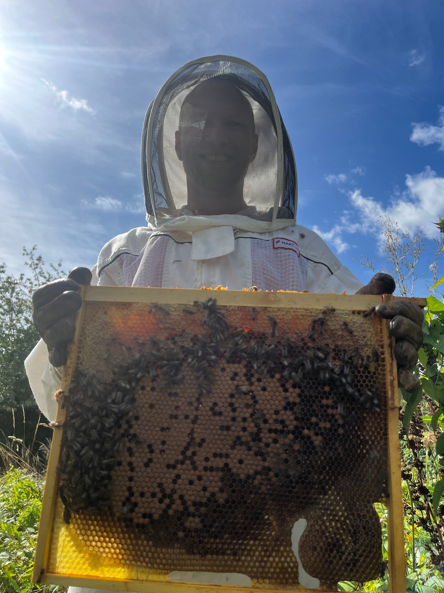 Bees for Sale - National
