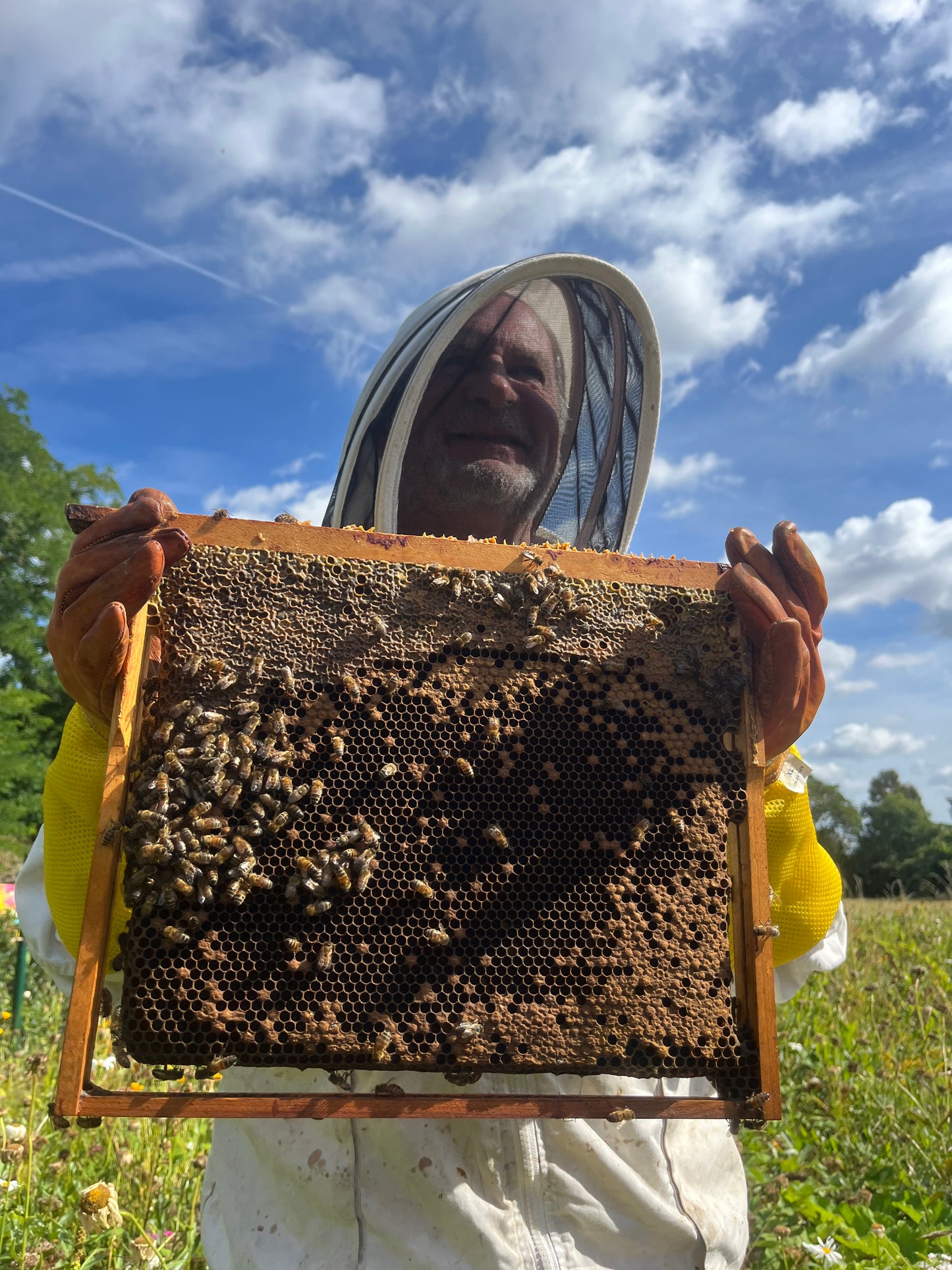 Non Branded Beehives - Hosted on our Charity/Farms