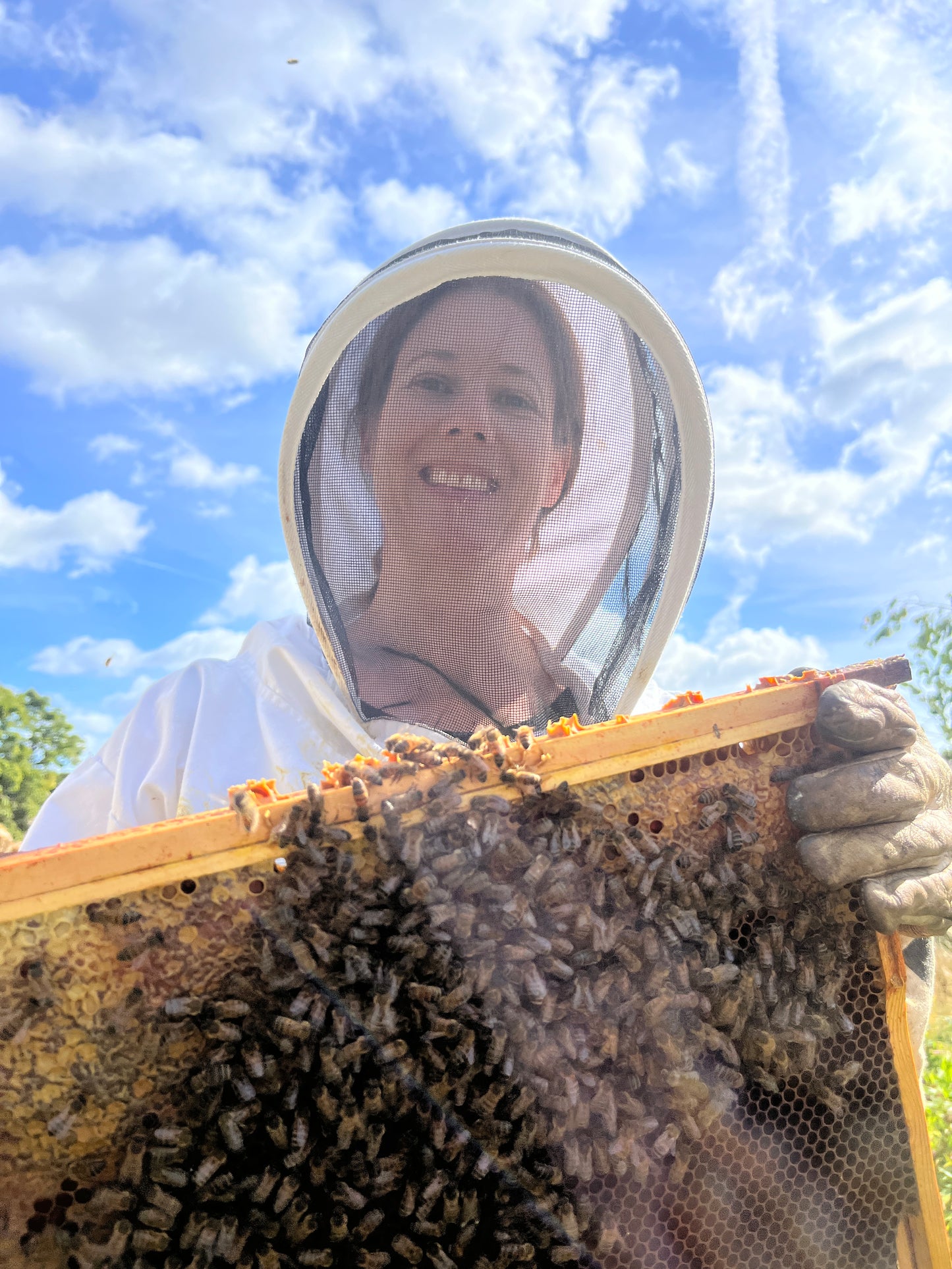 Branded Beehive – Site Visit, Consultation & Bespoke Proposal (Fully Managed Service)