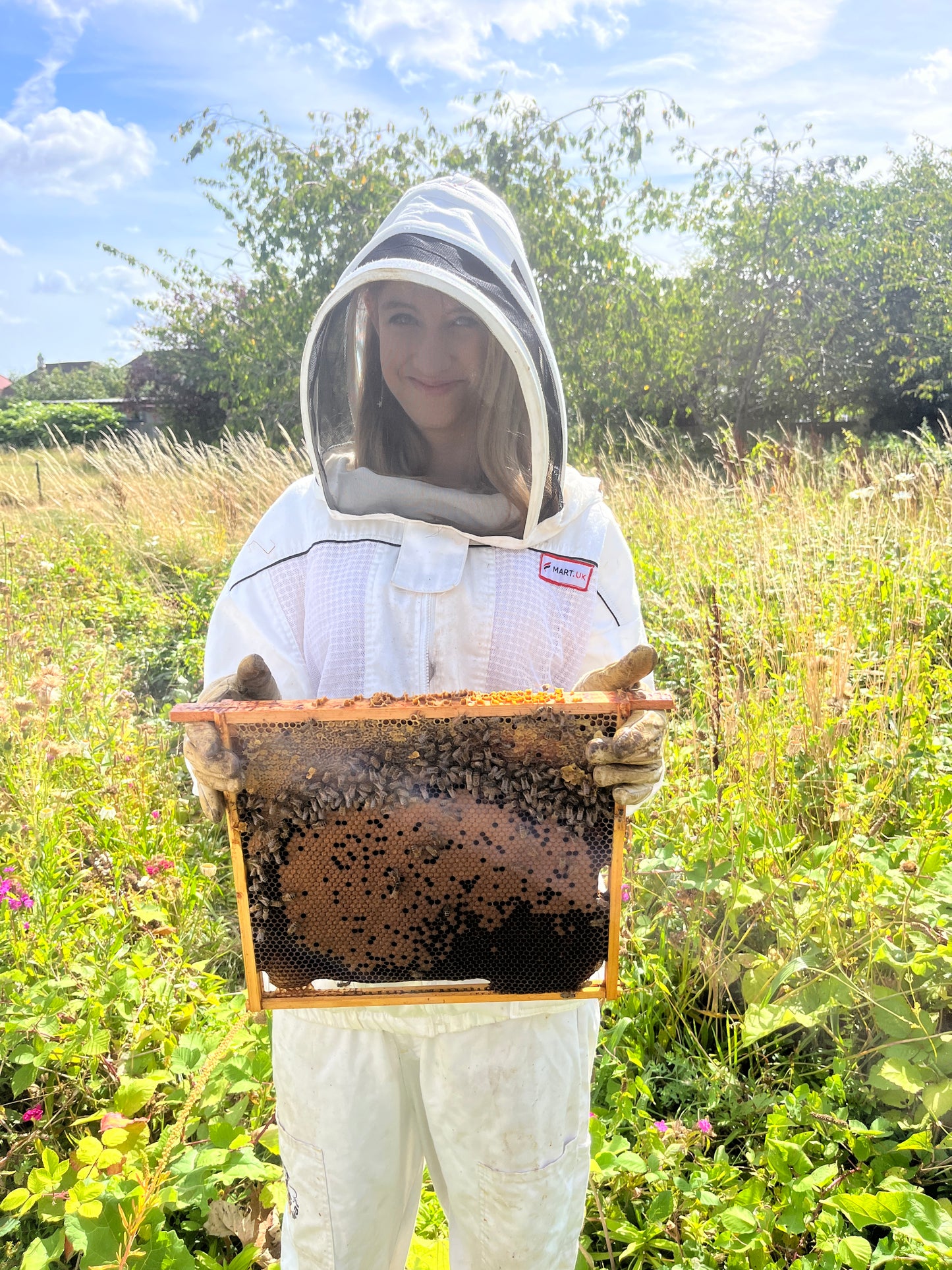 Branded Beehive – Site Visit, Consultation & Bespoke Proposal (Fully Managed Service) Schools & Charities