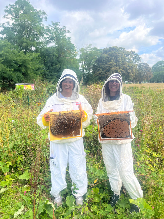 Non Branded Beehives - Hosted on our Charity/Farms
