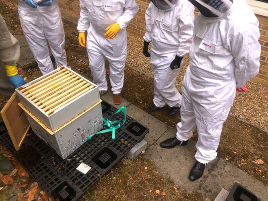 Managed Branded Beehives - Site visit
