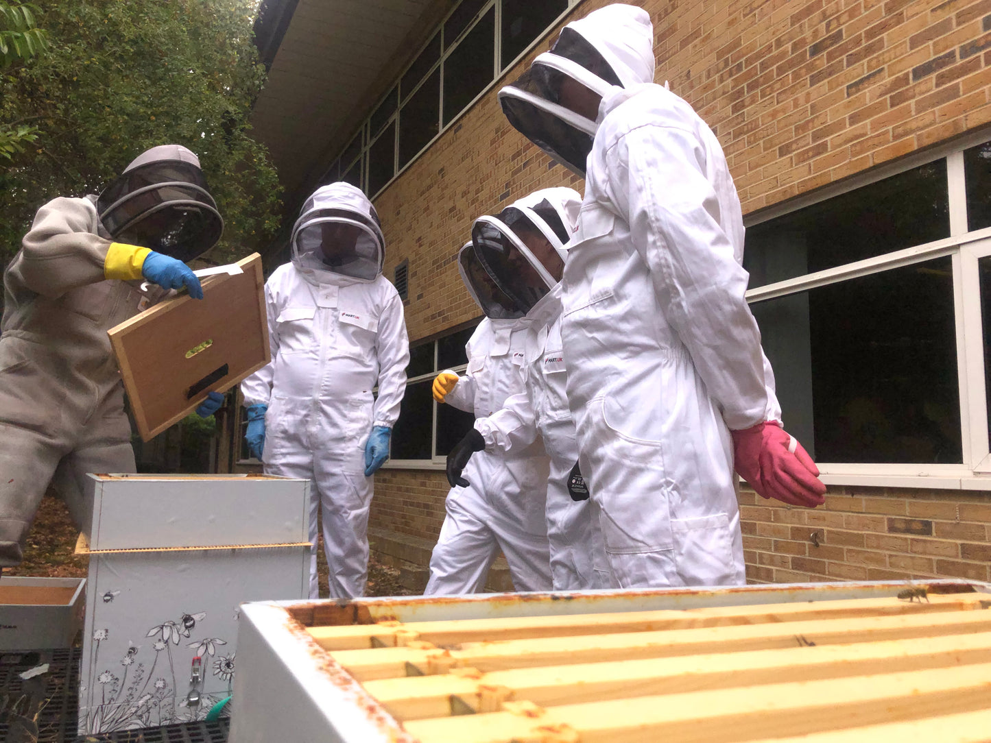 Branded Beehive – Site Visit, Consultation & Bespoke Proposal (Fully Managed Service) Schools & Charities
