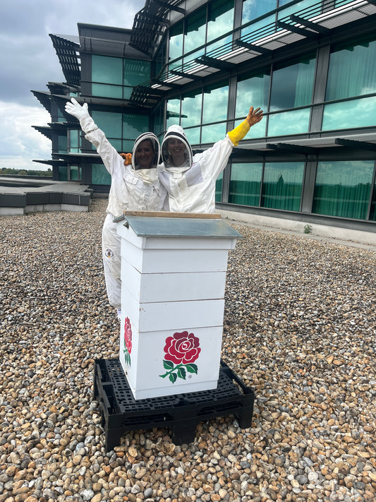 Managed Branded Beehives - Site visit