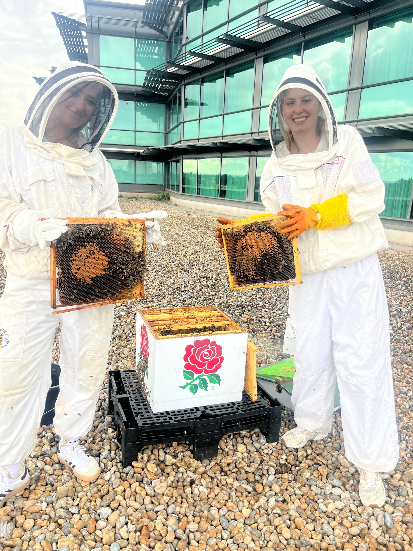 Branded Beehive – Site Visit, Consultation & Bespoke Proposal (Fully Managed Service) Schools & Charities