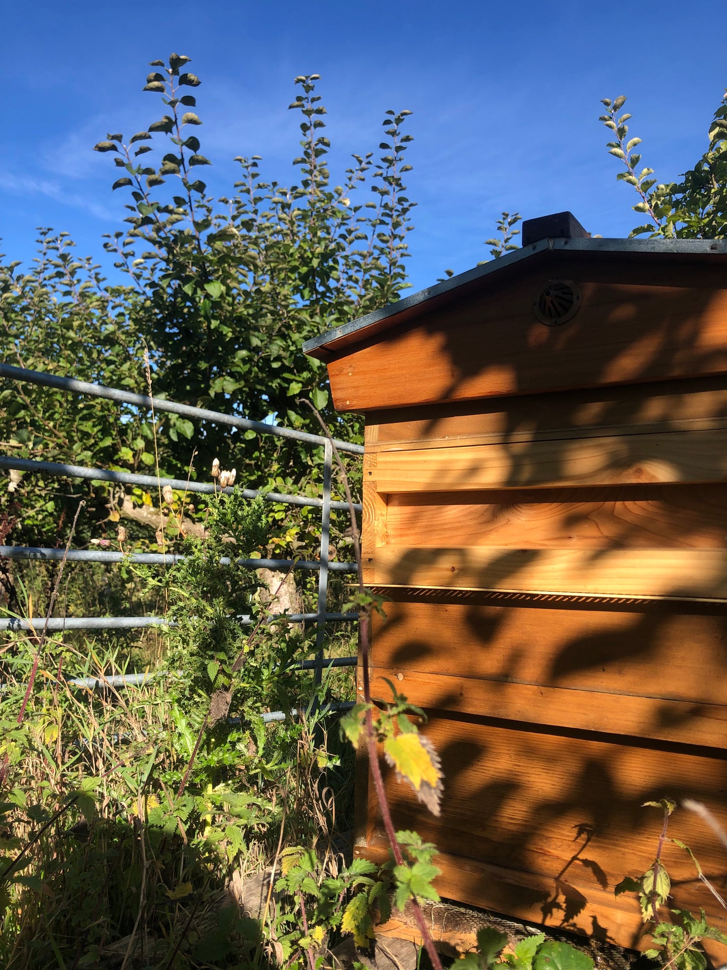 Non Branded Beehives - Hosted on our Charity/Farms