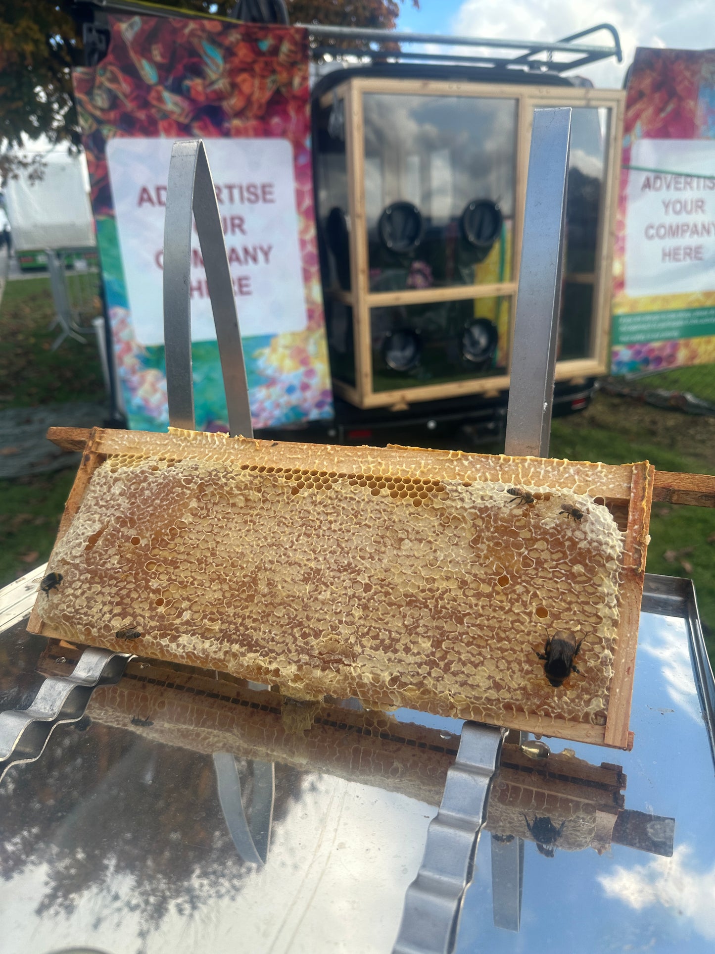 Mobile beehive full day - Schools & Charities