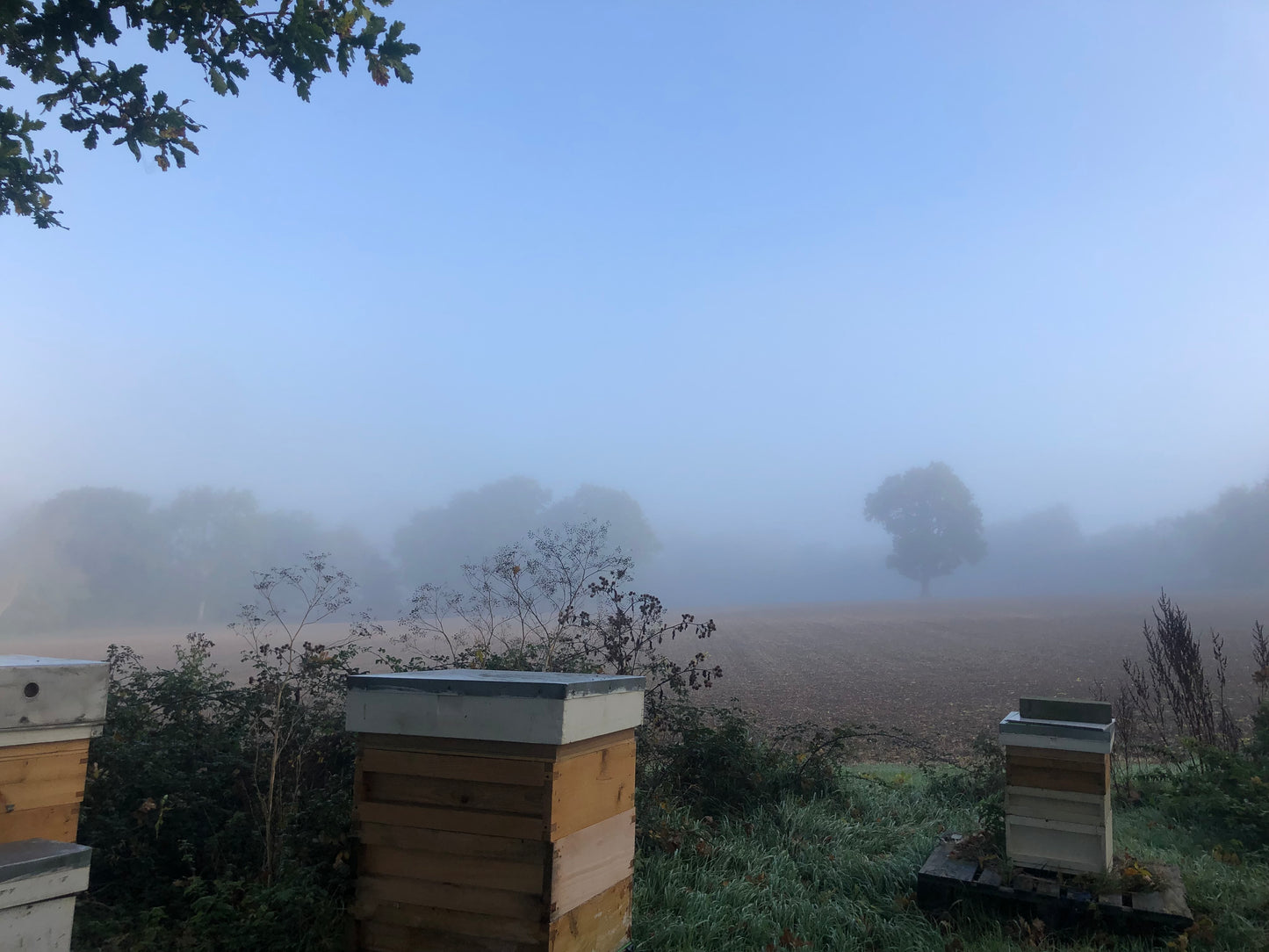 Non Branded Beehives - Hosted on our Charity/Farms