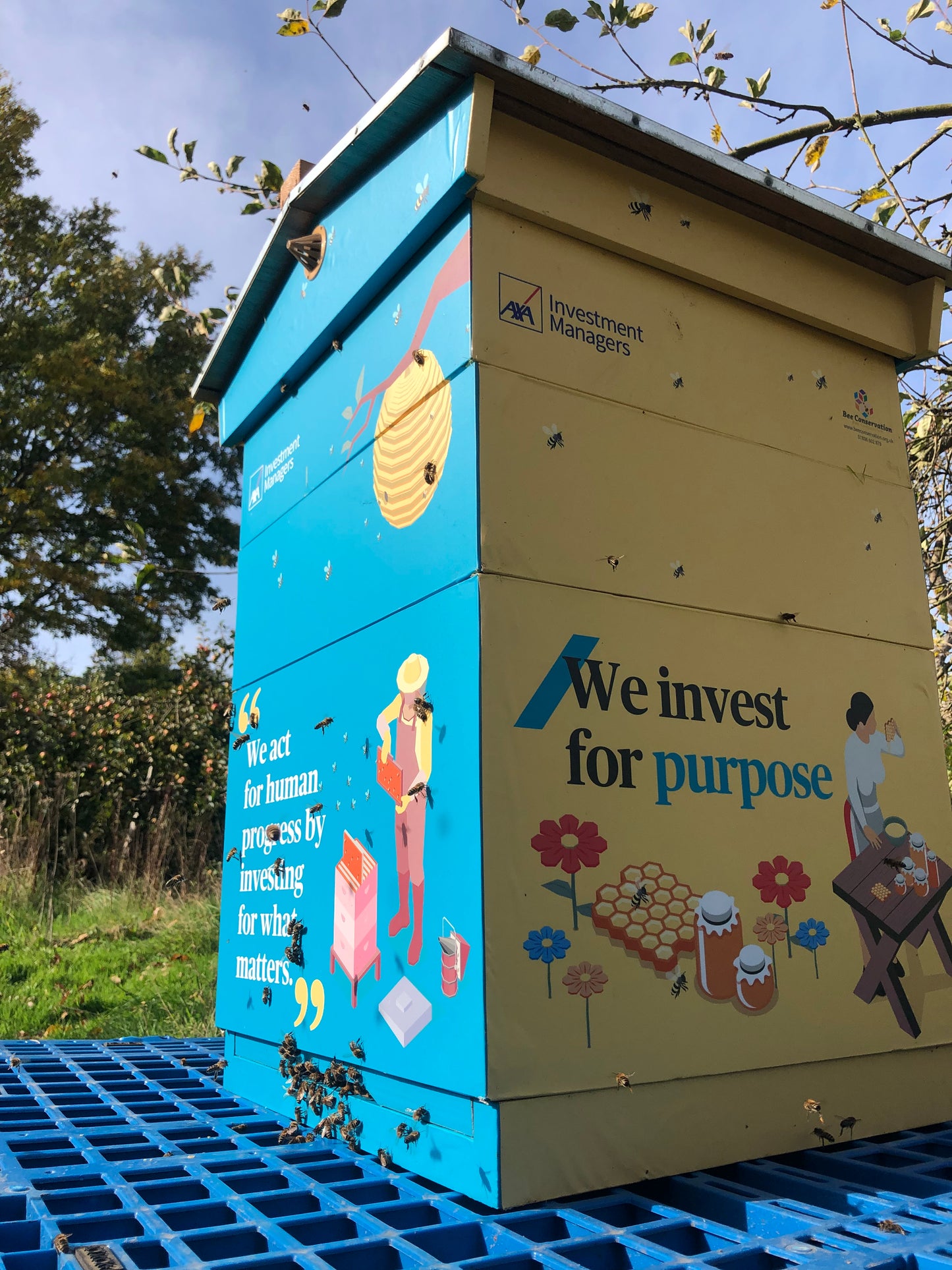Branded Beehive – Site Visit, Consultation & Bespoke Proposal (Fully Managed Service) Schools & Charities