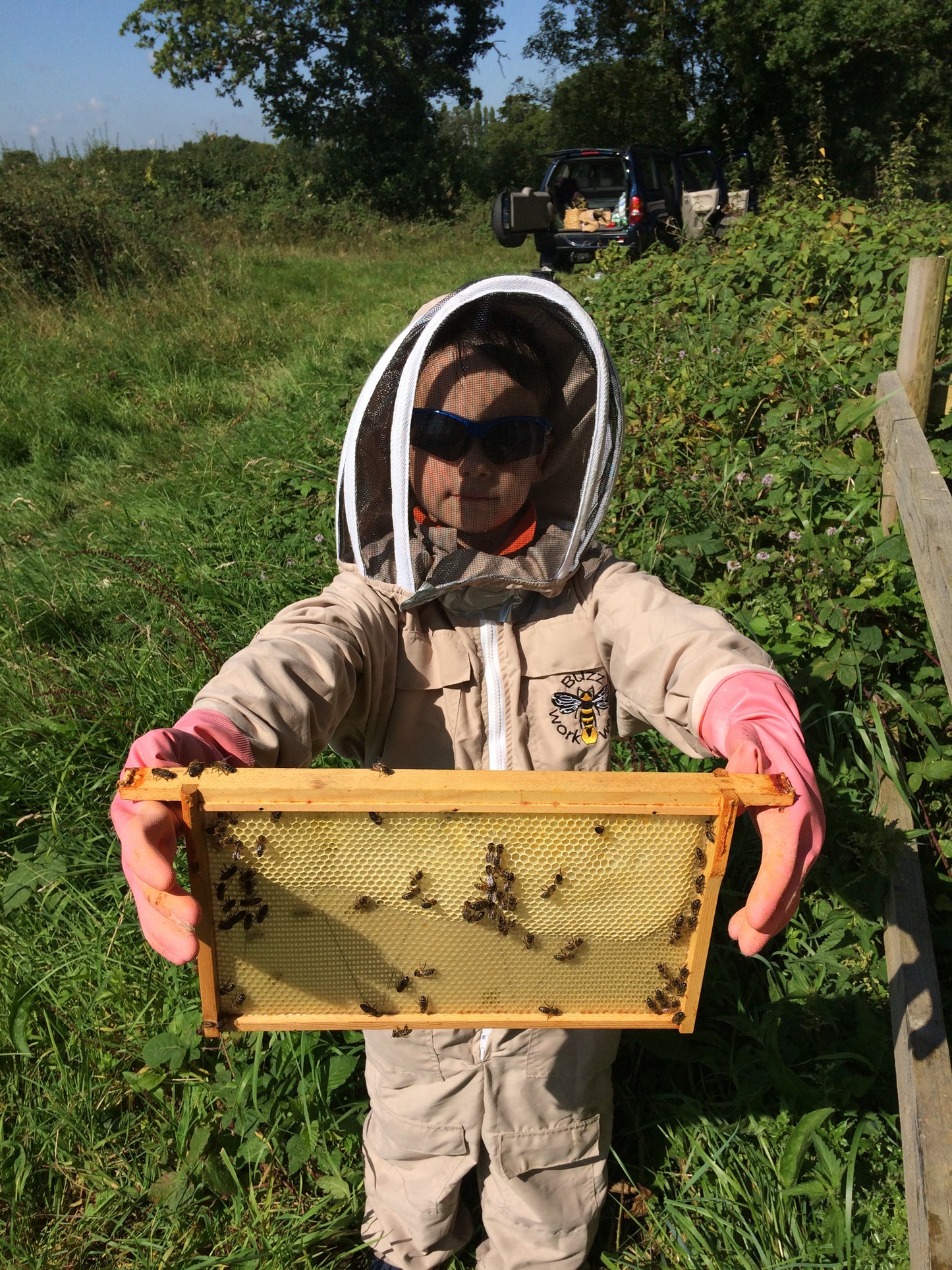 Branded Beehive – Site Visit, Consultation & Bespoke Proposal (Fully Managed Service) Schools & Charities