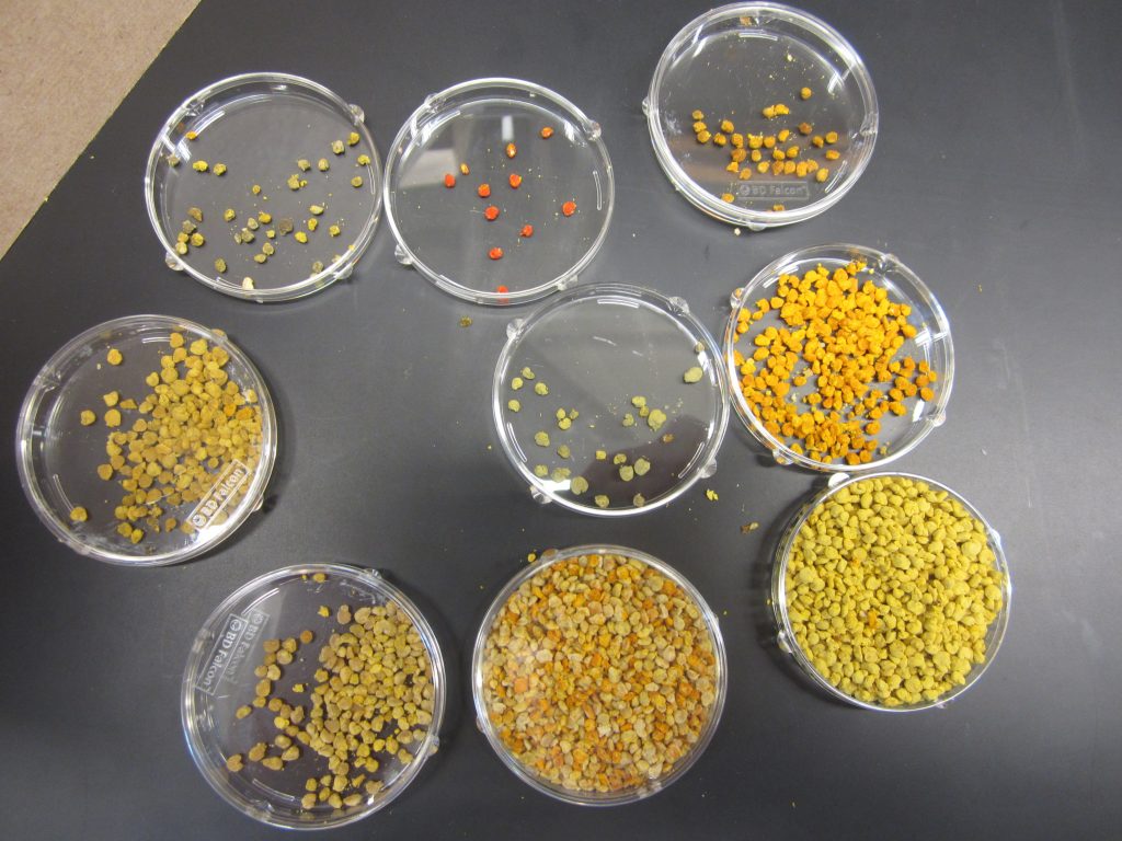Pollen Test