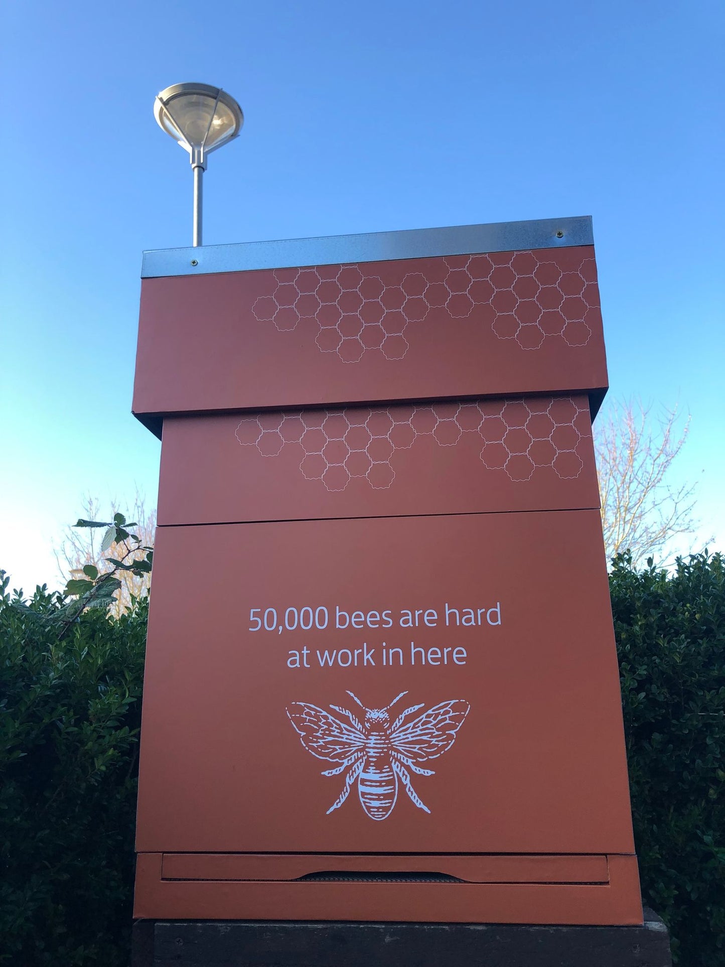 Branded Beehive & Bees – Delivered & Installed (Client Maintains Hive & Bees)