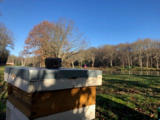Non Branded Beehives - Hosted on our Charity/Farms