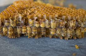 Pollen Test