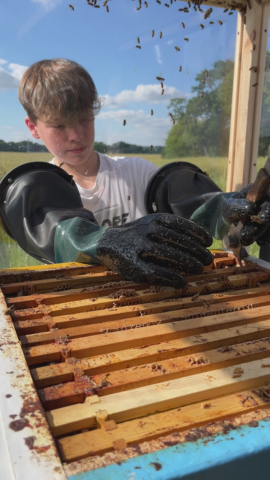 Mobile beehive full day - Schools & Charities