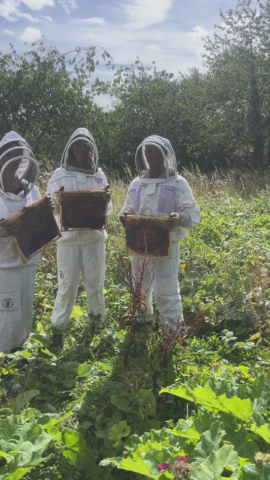 Non Branded Beehives - Hosted on our Charity/Farms