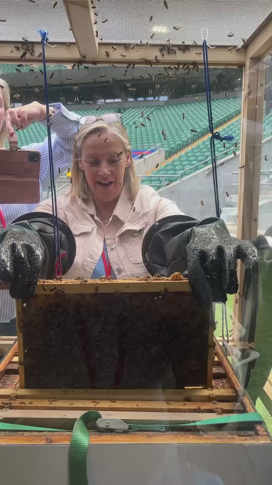 Mobile Beehive – Premium Hire | Multi-Day Discount Available