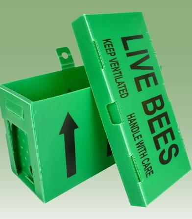 Bees for Sale - National Premium