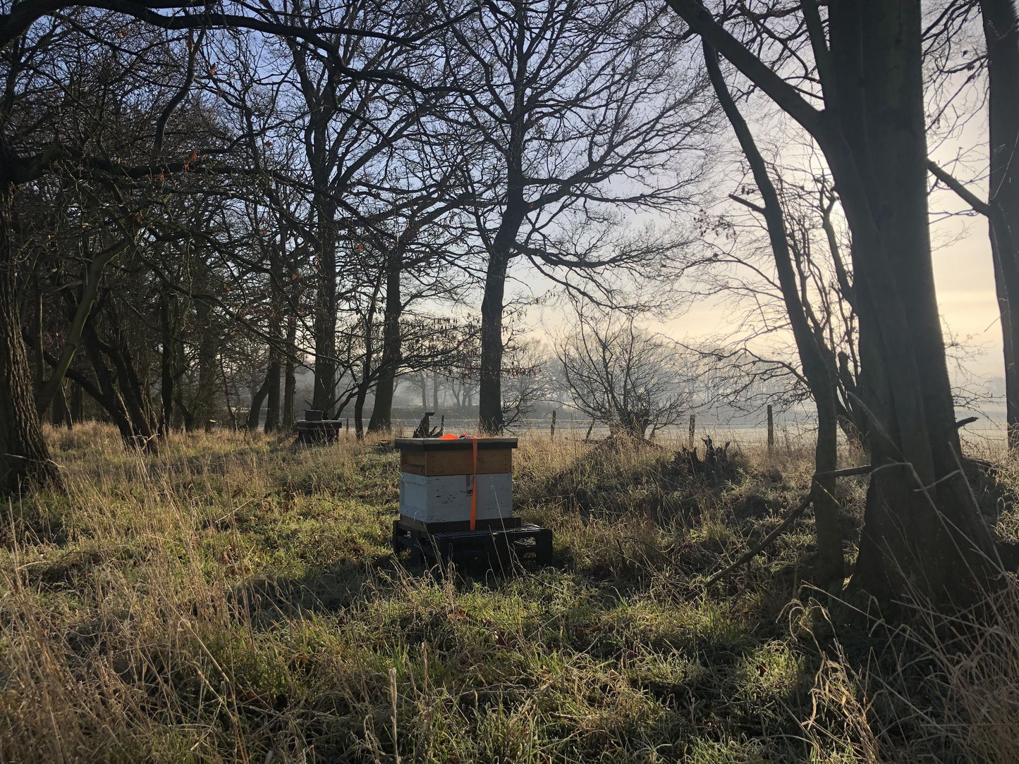 Non Branded Beehives - Hosted on our Charity/Farms
