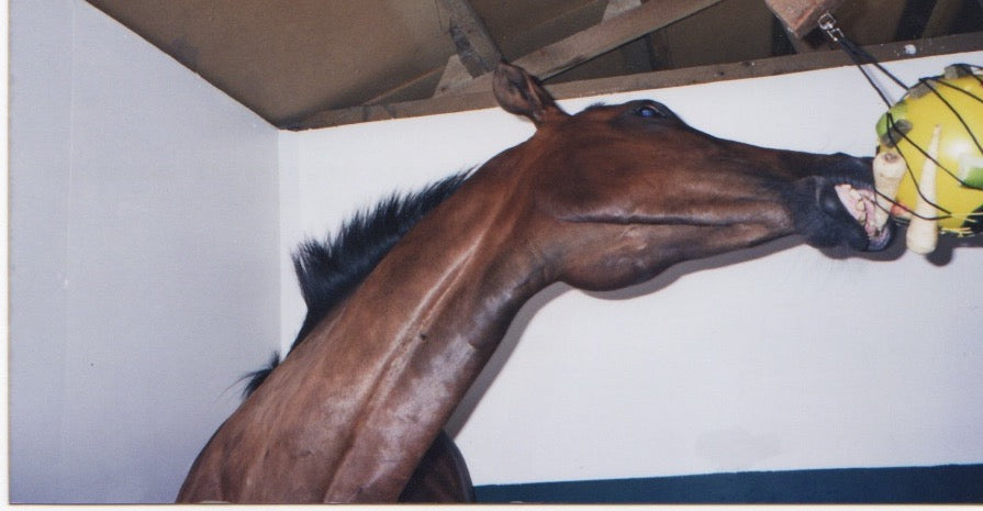 Horse boredom toys sales